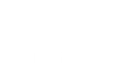 Silvestre Casa Animal